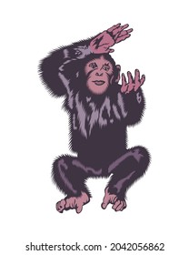 Vector illustration of monkey on vintage style isolated on white background