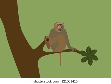 Vector illustration of monkey sitting on the branches of a tree