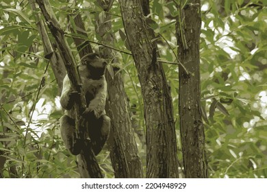 Vector illustration of a monkey sitting on a tree trunk. Monkeys in treetops. Leaves, trees. Primates, monkeys. Mostly green vector background with dark monkey. Nature, monkeys, environment.