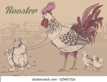 Vector illustration. Monkey as a symbol of the outgoing year. Chimp brings forward a beautiful colorful cock. Rooster symbol of new 2017 year. Near the rooster hatched chicks. Vintage style.