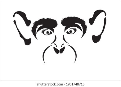 Vector illustration of monkey. Symbol of wild animal and safari.