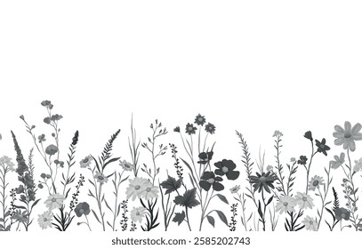 vector illustration of monochrome background with various wildflowers and delicate plants, seamless from right to left