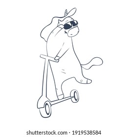 
Vector illustration with monochrome strokes on an isolated background, cheerful unicorn in sunglasses on an electric scooter.