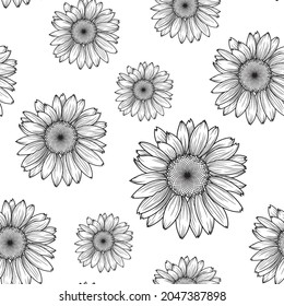 Vector illustration. Monochrome sunflower flowers, daisies on a transparent background. Seamless pattern