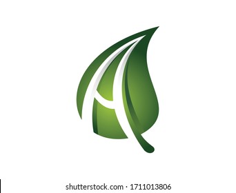 A vector Illustration of Monogram Letter A with green leaf Logo Sign