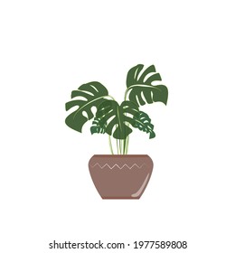 Vector illustration of a monstera in a ceramic pot with a white pattern on an isolated background. Concept for floristic brochures, advertising, typography
