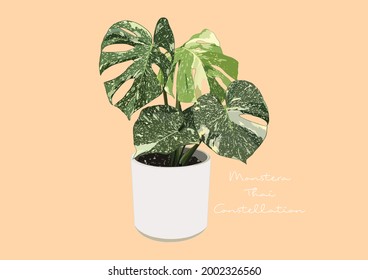 Vector Illustration Of Monstera Deliciosa, Swiss Cheese Plant