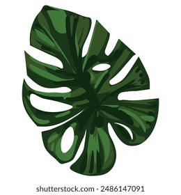 Ilustración vectorial de la hoja de Monstera