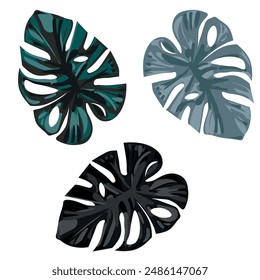 Vector Illustration of Monstera Leaf in Black and White Silhouette