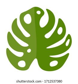 Vector illustration of monstera leaf in flat style. Tropical leaf for the design of summer posters, brochures, parties, infographics for travelers. Exotic trendy green leaf of monstera palm.