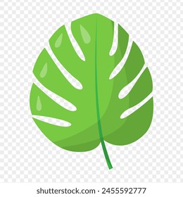Vector illustration of Monstera leaf on transparent background