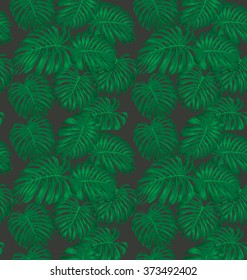 Vector Illustration of Monstera leave seamless pattern