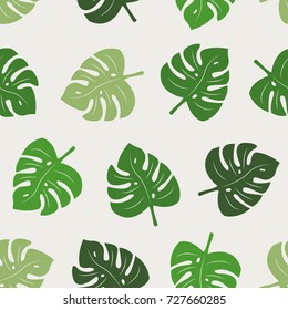 Vector illustration of monstera leaves seamless pattern. Floral organic background. Hand drawn leaf texture.