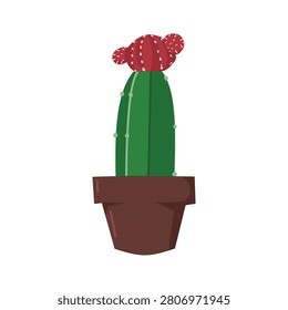 Vector illustration of moon cactus Gymnocalycium mihanovichii on pot for your desain for your illustration for sticker