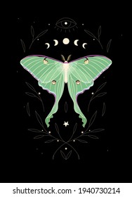 Vector Illustration Of Moon Moth And Moon Cycle