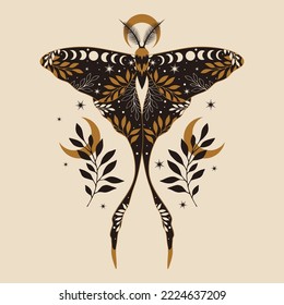 Vector illustration of moon moth. For print for T-shirts and bags, decor element. Mystical and magical, astrology illustration