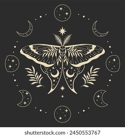 Vector illustration of moon moth. For print for T-shirts and bags, decor element. Mystical and magical, astrology illustration