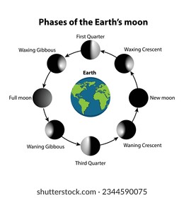 Vector illustration of moon Phases Diagram. on a white background, 