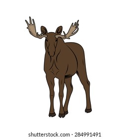 Vector Illustration of a Moose. American Elk vintage Symbol