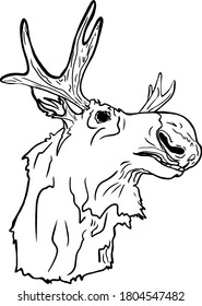Vector illustration of a moose head isolated on a white background for printing on paper, clothes, logo, coloring, blank for designers
