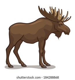 Vector illustration of a moose, isolated on a white background