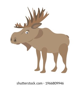 Vector illustration of a moose on a white background