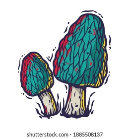 Vector illustration of morel. Autumn mushroom picking for vegan food and cooking design