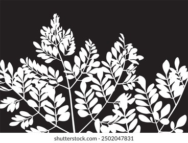 Vector illustration of Moringa leaves (Moringa oleifera), featuring a pinnate arrangement with small, oval-shaped leaflets. The design showcases a vibrant green color with smooth lines depicting fine