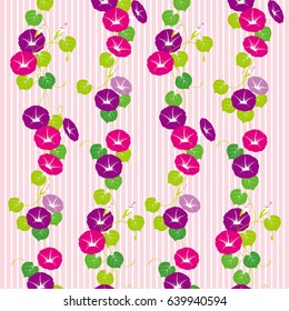 Vector illustration of morning glory
