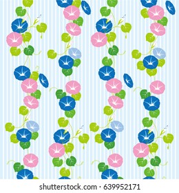 Vector illustration of morning glory