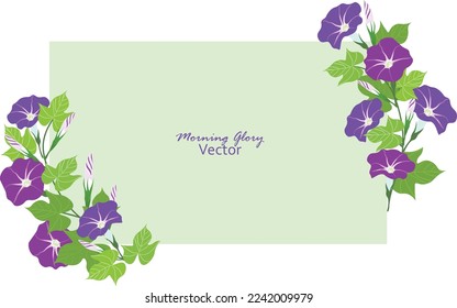 Vector illustration of Morning glory flowers with leaves isolated on white background. Japanese Asagao flowers