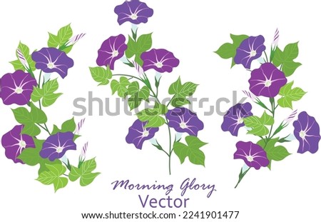 Vector illustration of Morning glory flowers with leaves isolated on white background. Japanese Asagao flowers Stockfoto © 