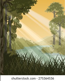 vector illustration morning in jungle rainforest