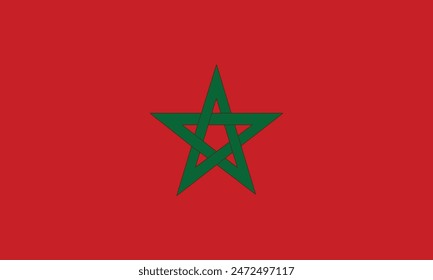 vector illustration of Morocco flag