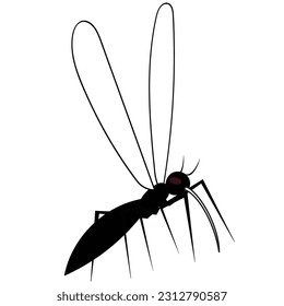 A vector illustration of a mosquito