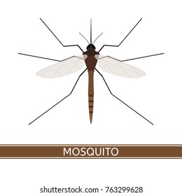 Vector illustration of mosquito, isolated on white background, in flat style.