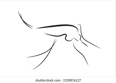 Vector illustration of mosquito painted with simple lines. Symbol of insect and parasite.