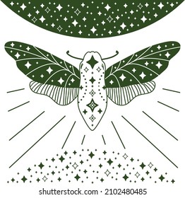 Vector illustration of a moth, butterfly in the stars