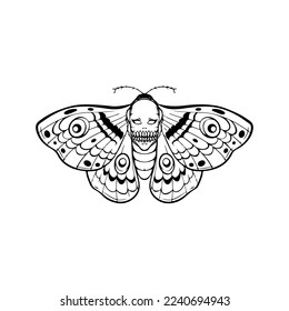 vector illustration of a moth insect