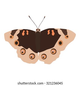 Vector illustration of moth isolated on white background
