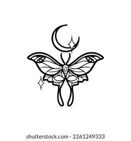 vector illustration of moth with moon concept