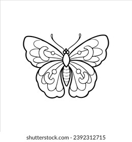 vector illustration of moth outline