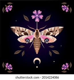 Vector illustration of moth and purple flower