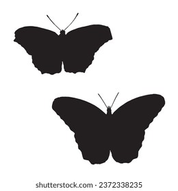 Vector Illustration of Moth Silhouette