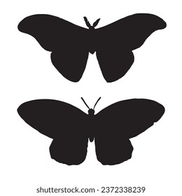 Vector Illustration of Moth Silhouette