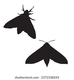 Vector Illustration of Moth Silhouette