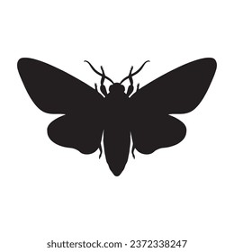 Vector Illustration of Moth Silhouette