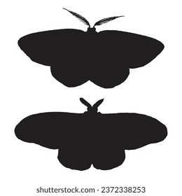 Vector Illustration of Moth Silhouette