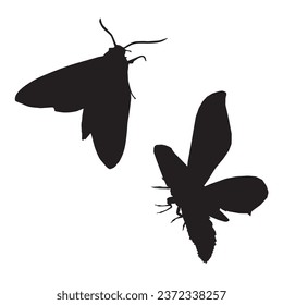 Vector Illustration of Moth Silhouette