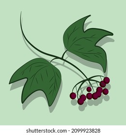 Vector illustration of mountain ash. In retro style on a minimalist background in pastel colors.